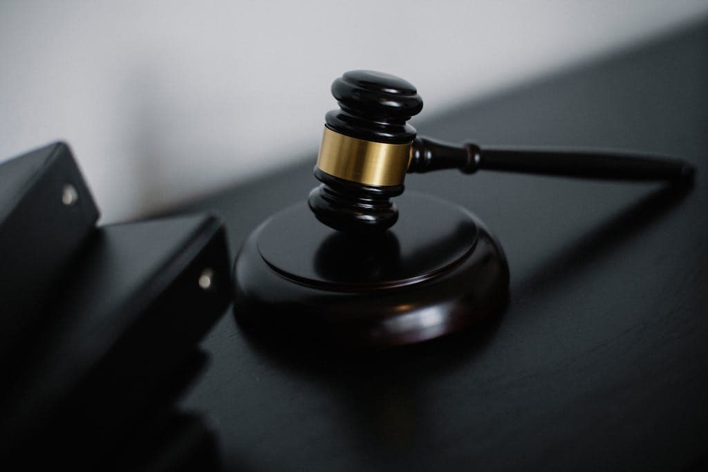 Legal representation and immigration documents